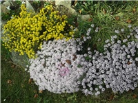 44da1a11-Picture 019.jpg